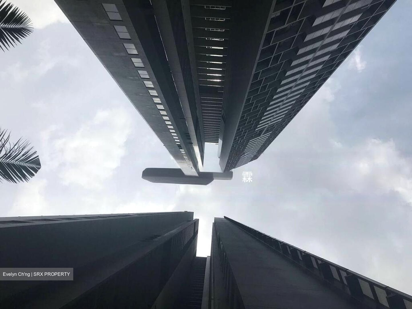 Commonwealth Towers (D3), Condominium #627954721